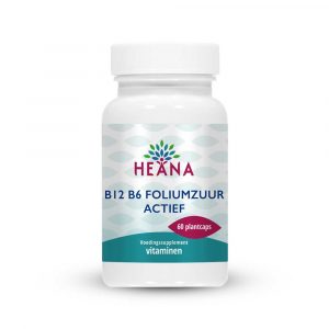 b12-b6-foliumzuur-actief